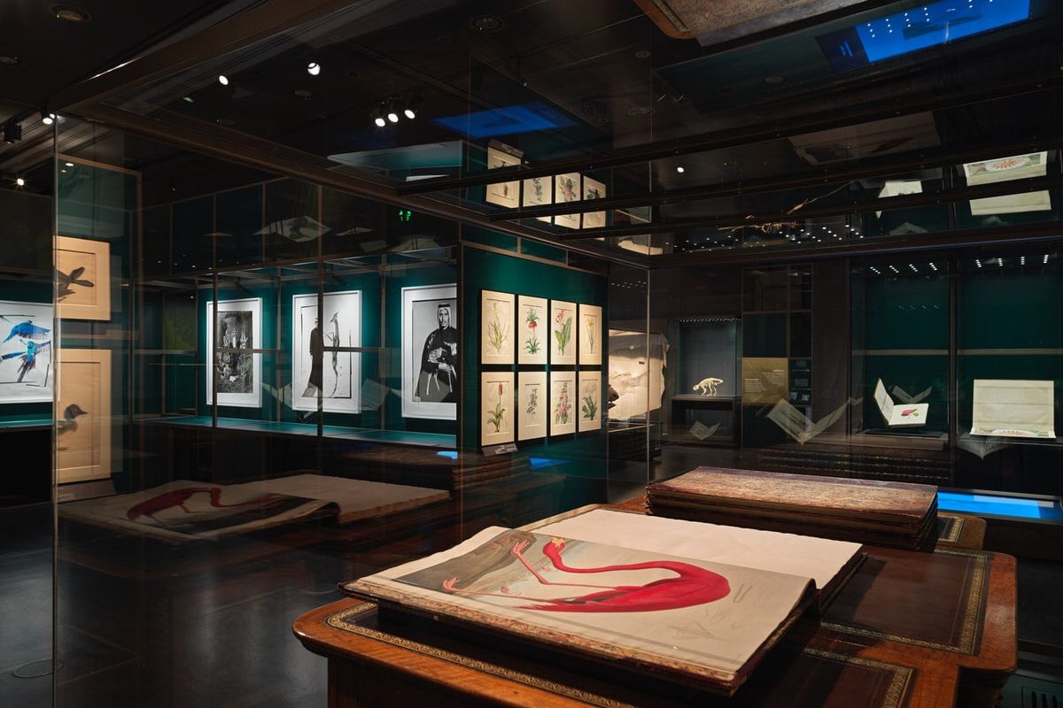 A Falcon’s Eye. Tribute to Sheikh Saoud Al Thani