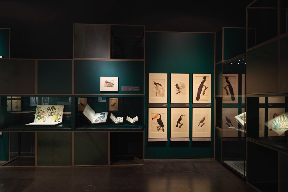 A Falcon’s Eye. Tribute to Sheikh Saoud Al Thani