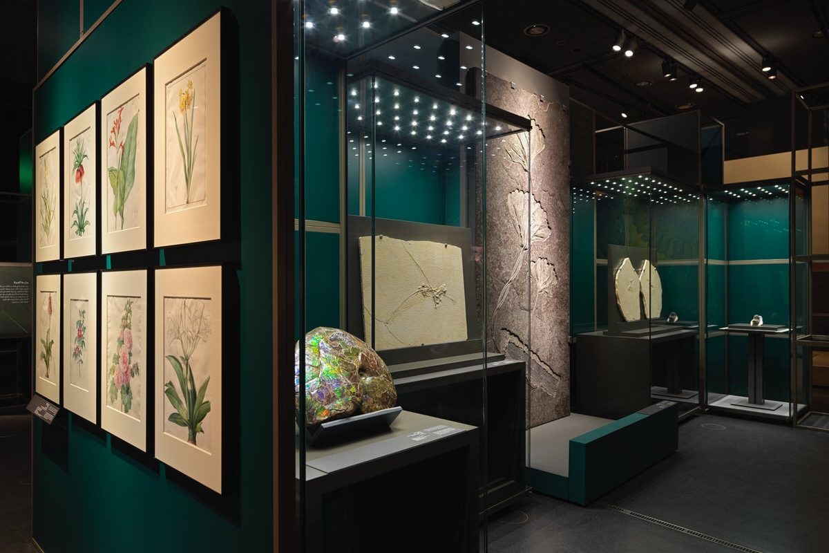 A Falcon’s Eye. Tribute to Sheikh Saoud Al Thani