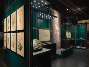 A Falcon’s Eye. Tribute to Sheikh Saoud Al Thani