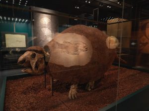 A Falcon’s Eye. Tribute to Sheikh Saoud Al Thani