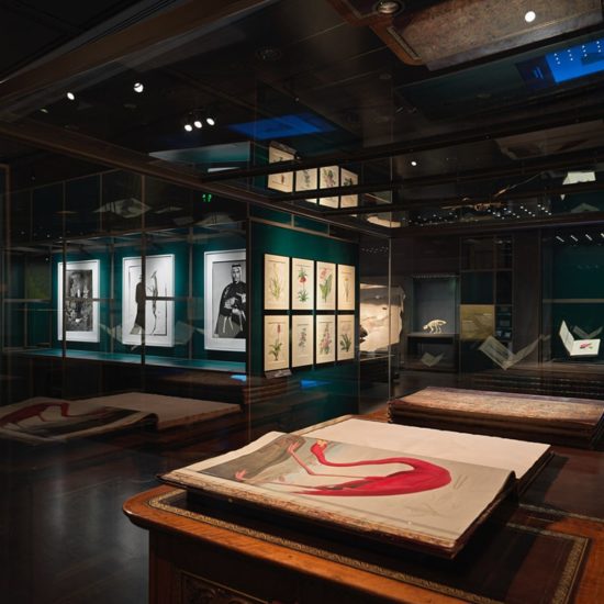 A Falcon’s Eye. Tribute to Sheikh Saoud Al Thani