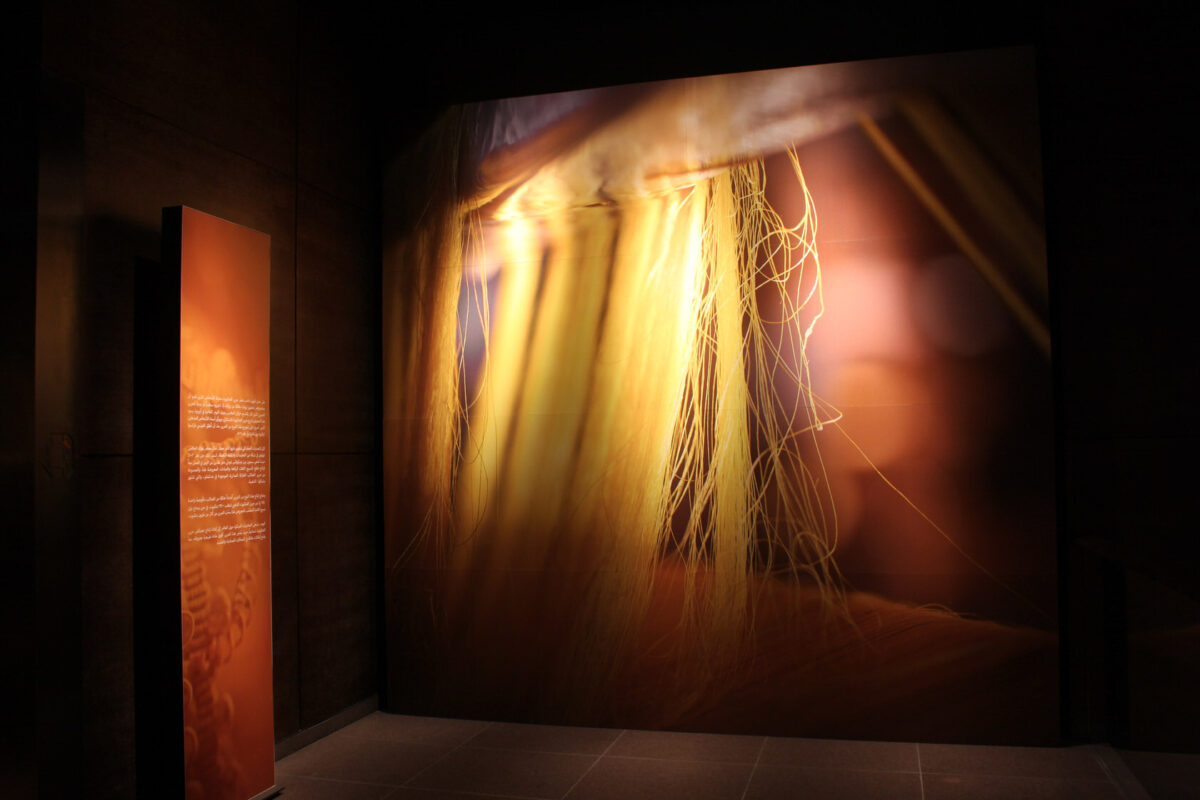 golden-spider-silk-04