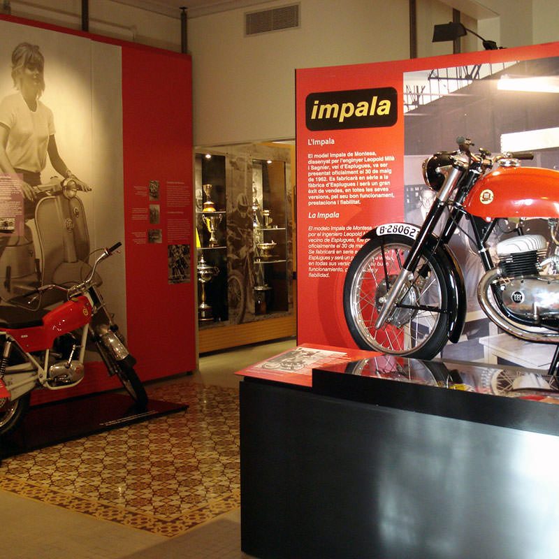 As a Motorcycle|As a Motorcycle|As a Motorcycle|As a Motorcycle|As a Motorcycle|As a Motorcycle|As a Motorcycle