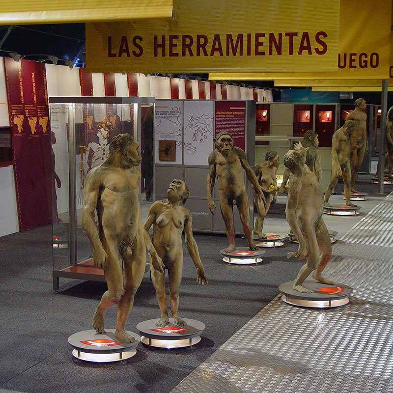 From Ape To Human|From Ape To Human|From Ape To Human|From Ape To Human|From Ape To Human