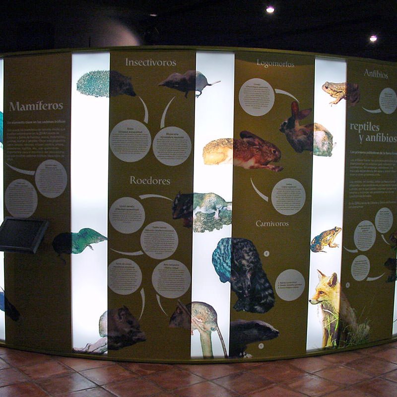 The Olive Grove Of The Friars: Interpretation Center