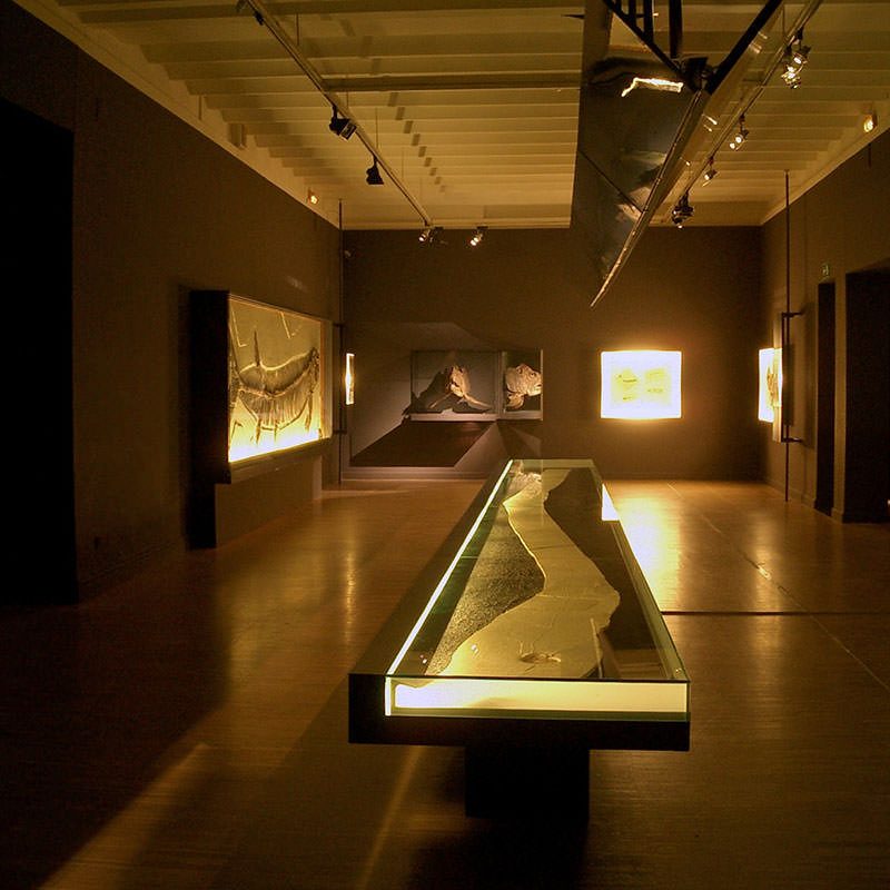 Remains And Trails|Remains And Trails|Remains And Trails|Remains And Trails|Remains And Trails|Remains And Trails|